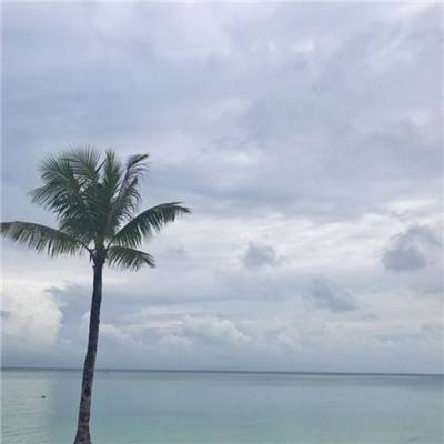 灵魂杀戮游戏下载