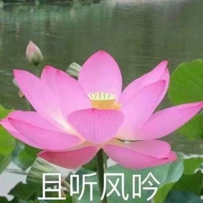 诛神乾坤至尊版h5游戏